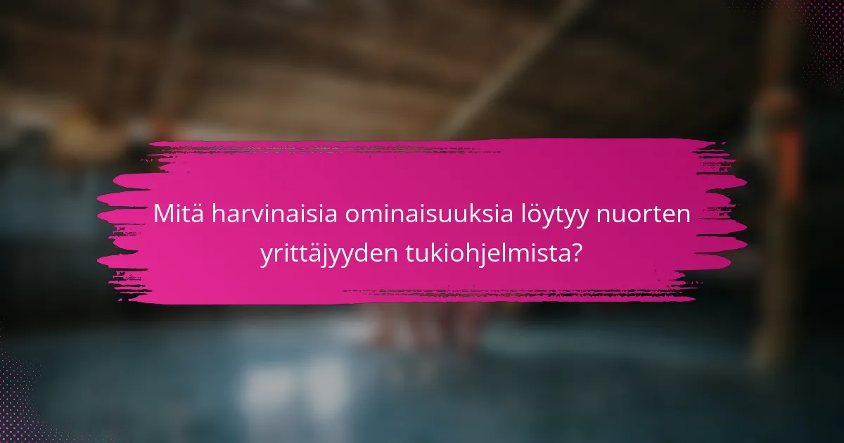 Mitä harvinaisia ominaisuuksia löytyy nuorten yrittäjyyden tukiohjelmista?